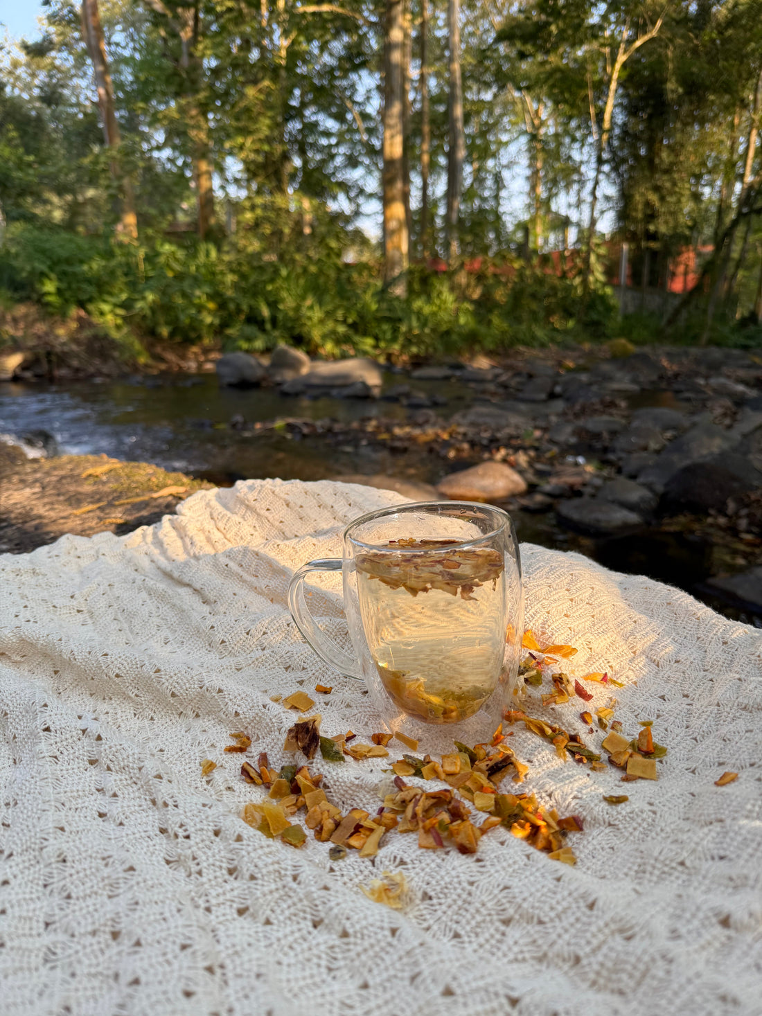 Un día con Frutysol