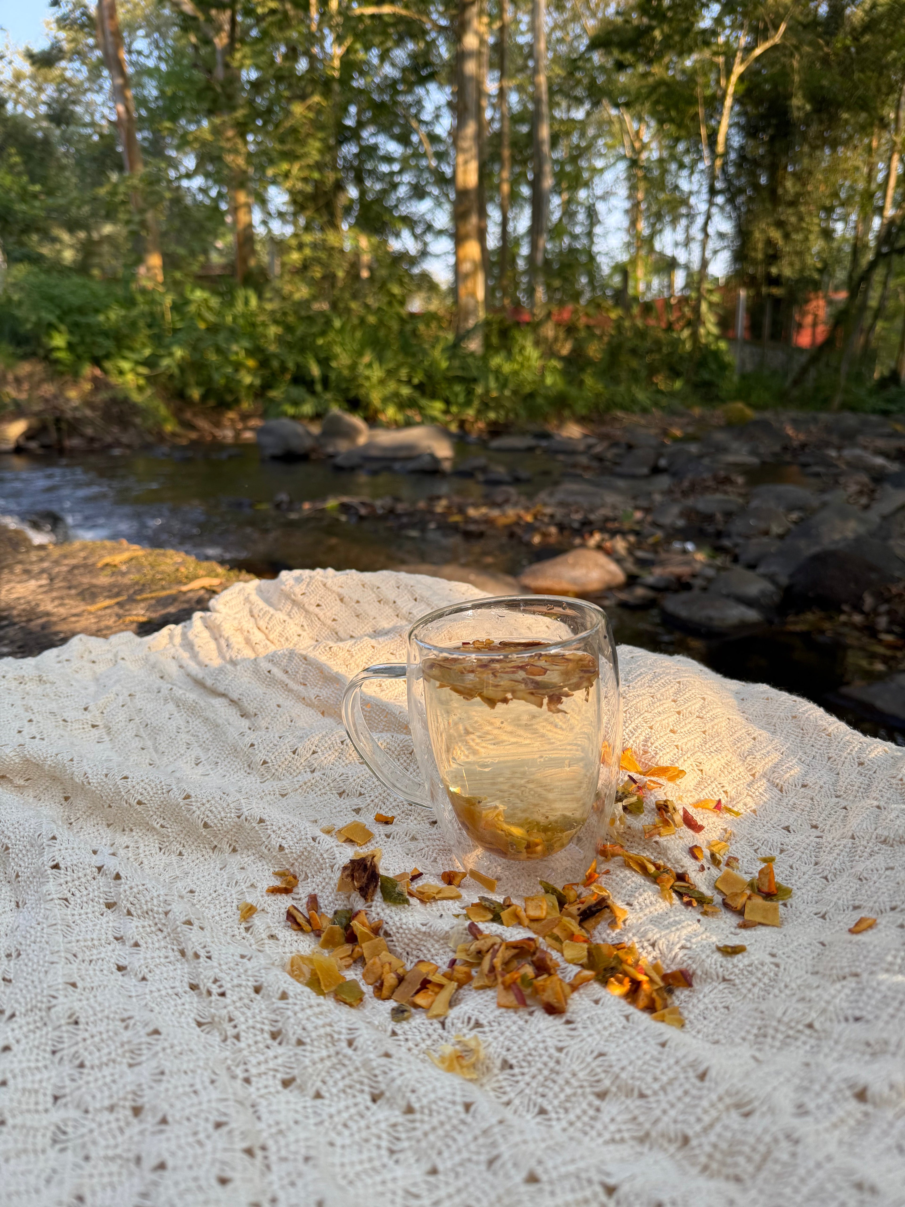 Un día con Frutysol